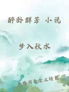 醉卧群芳 小说