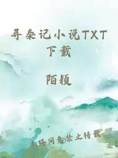 寻秦记小说TXT下载