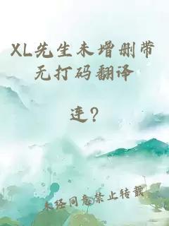 XL先生未增删带无打码翻译