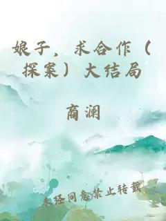 娘子，求合作（探案）大结局