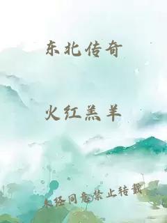 东北传奇