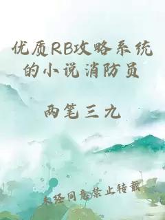 优质RB攻略系统的小说消防员