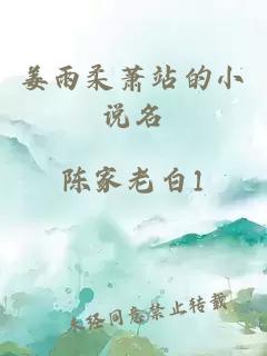 姜雨柔萧站的小说名