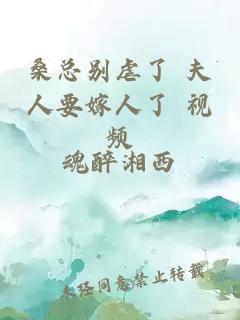 桑总别虐了 夫人要嫁人了 视频