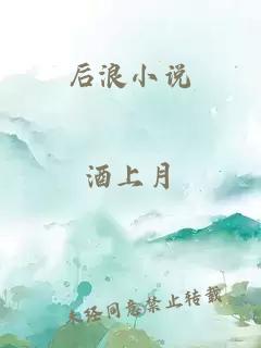 后浪小说