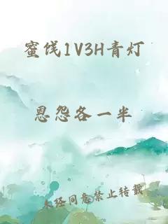 蜜饯1V3H青灯