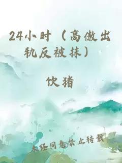 24小时（高傲出轨反被抹）