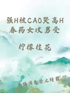 强H被CAO哭高H春药女攻男受