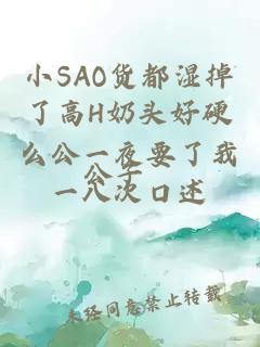 小SAO货都湿掉了高H奶头好硬么公一夜要了我一八次口述