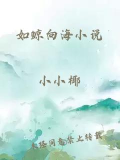 如鲸向海小说