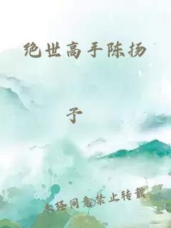 绝世高手陈扬