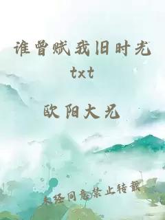 谁曾赋我旧时光txt