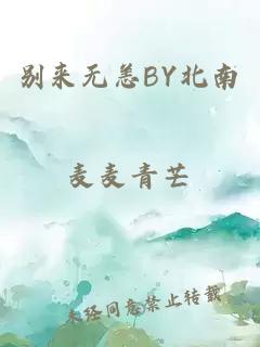 别来无恙BY北南