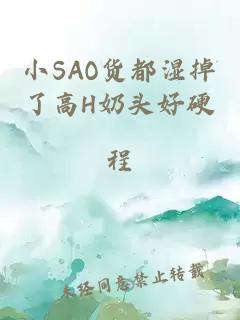 小SAO货都湿掉了高H奶头好硬