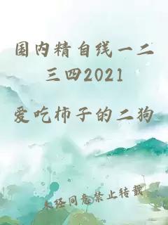 国内精自线一二三四2021