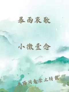 暴雨哀歌