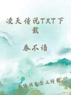 凌天传说TXT下载