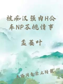 被痴汉强肉H公车NP苏桃情事