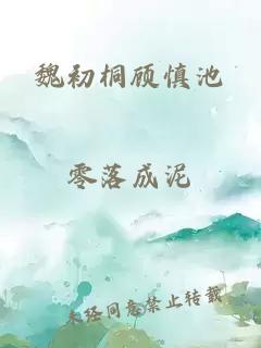 魏初桐顾慎池