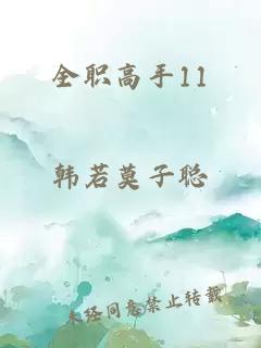 全职高手11