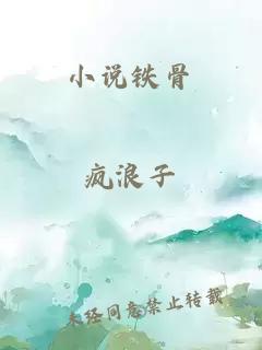 小说铁骨