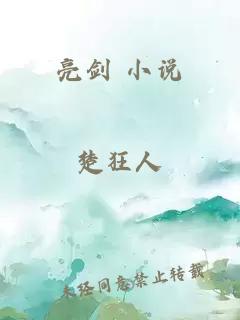 亮剑 小说