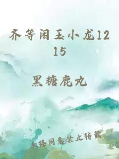 齐等闲玉小龙1215