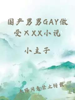 国产男男GAY做受ⅩXX小说