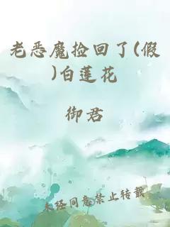 老恶魔捡回了(假)白莲花