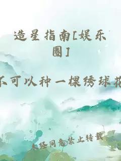 造星指南[娱乐圈]