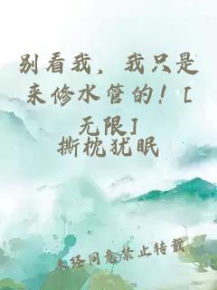 别看我，我只是来修水管的！[无限]