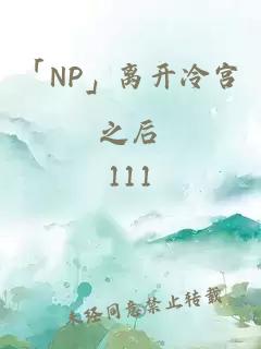 「NP」离开冷宫之后