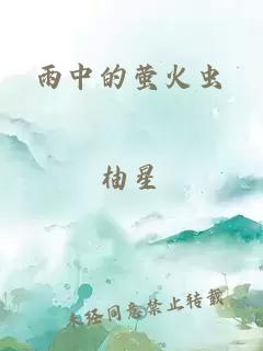 雨中的萤火虫