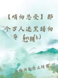 【哨向总受】那个万人迷黑暗向导（np/h）