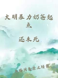 大明暴力奶爸起点