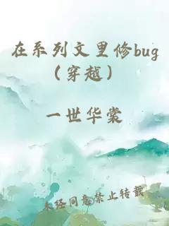 在系列文里修bug（穿越）