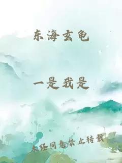 东海玄龟