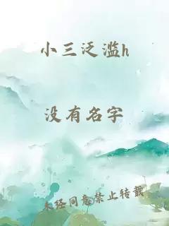 小三泛滥h