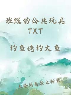 班级的公共玩具TXT