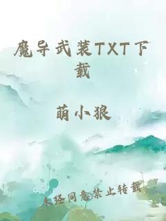 魔导武装TXT下载