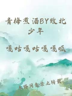 青梅煮酒BY败北少年