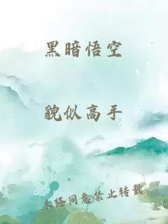 黑暗悟空