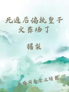 死遁后偏执皇子火葬场了