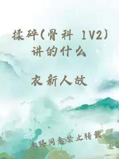 王子枫和袁雯洁小说叫什么名字