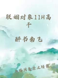 联姻对象11H高干