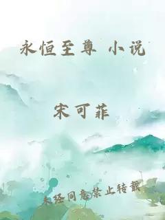 永恒至尊 小说