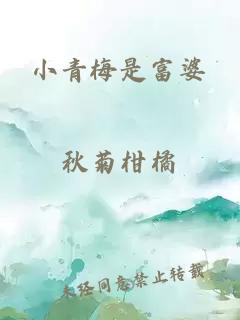 小青梅是富婆