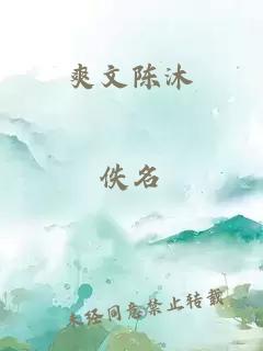 爽文陈沐