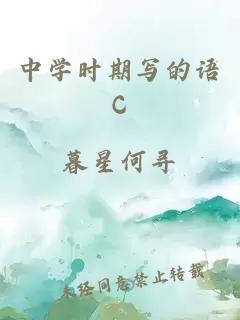 中学时期写的语C