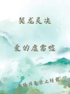 契龙灵决